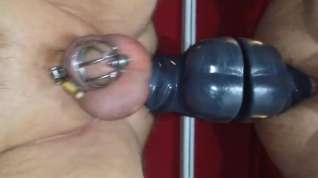 Online film Prostate milking with huge dildo in chastity