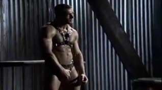 Online film Horny gay scene with Muscle, Dildos/Toys scenes