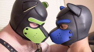 Online film Pup Kairo, Tiger and Gabe Duval - BearFilms