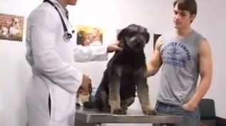 Online film Joven propietario de perro se folla al veterinario en casa