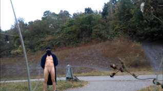 Online film Public nudity flashing from a bridge