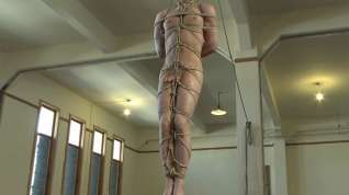 Online film Vertical Suspension, Tickle Torment and Extreme Edging