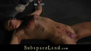 Online film Discipline And Tears Of Pain For A Mind Fucked ###