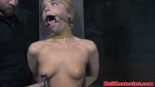 Online film Submissive flogged after nippleclamps nt punishment