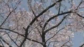 Online film 12-Mai Satsuki-Madam Papillon-3