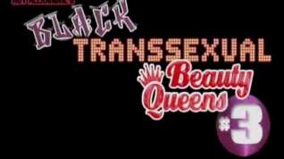 Online film Transexual beauty queens # 3