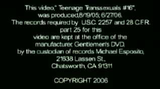 Online film Teenage Transsexuals 16