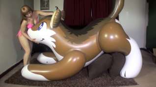 Online film Galas: PuffyPaws Wolf Ride & Deflate