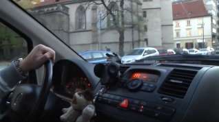 Online film Lustful Czech Angel Carries Boots When Autosex
